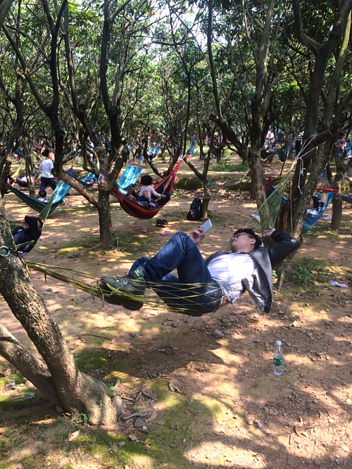 135483339331861538.jpg 135483339331861538.jpg