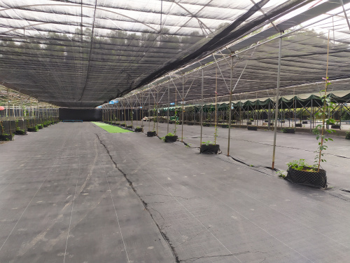 微信圖片_20200324163245.jpg 微信圖片_20200324163245.jpg