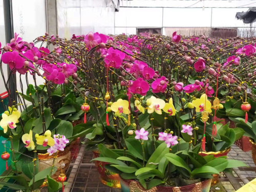 微信圖片_20191220093314.jpg 微信圖片_20191220093314.jpg