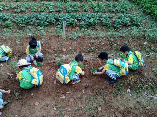 微信圖片_20200526163537.jpg 微信圖片_20200526163537.jpg